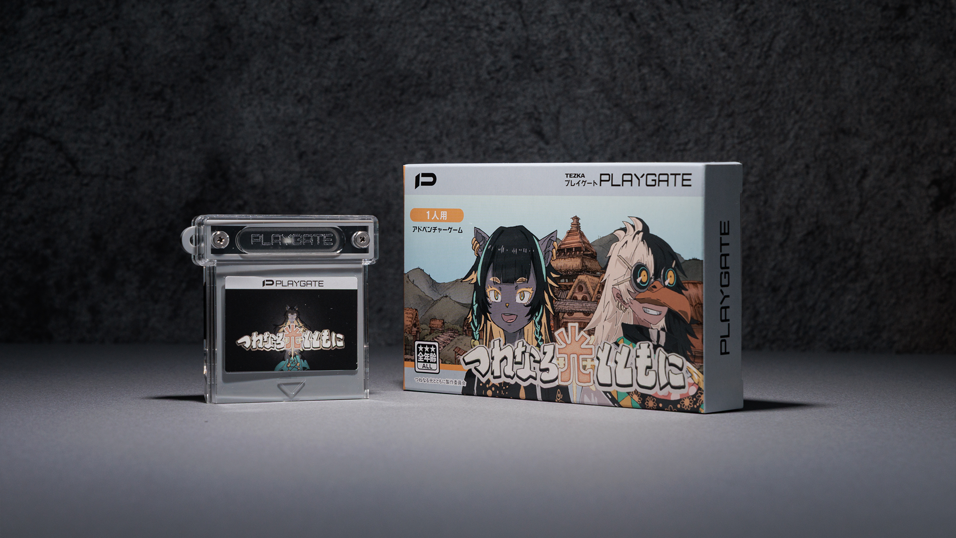 人のゲームカセット
