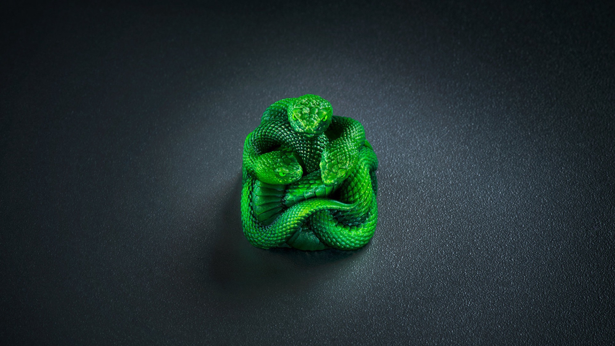 Triple-Headed Snake Edition 側面